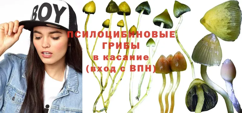 наркотики  Белый  Галлюциногенные грибы MAGIC MUSHROOMS 